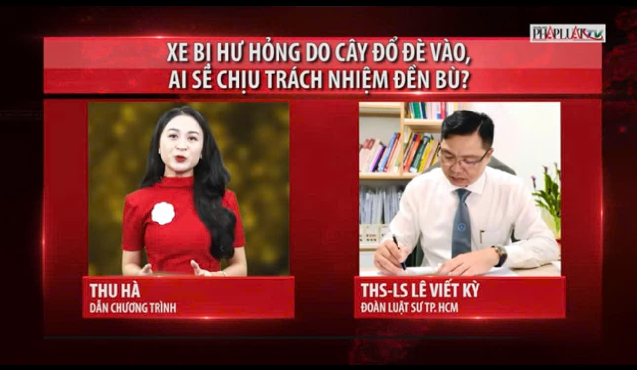 Hội thảo chuyên ngành 8